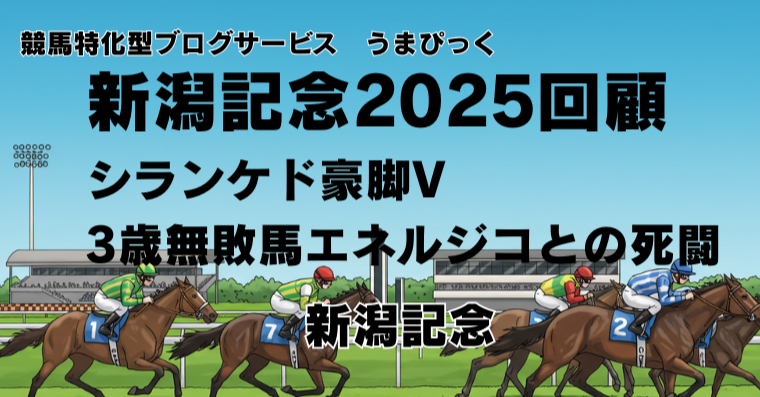 【新潟記念2025回顧】シランケド豪脚V！3歳無敗馬エネルジコとの死闘